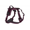 Ramble Harness