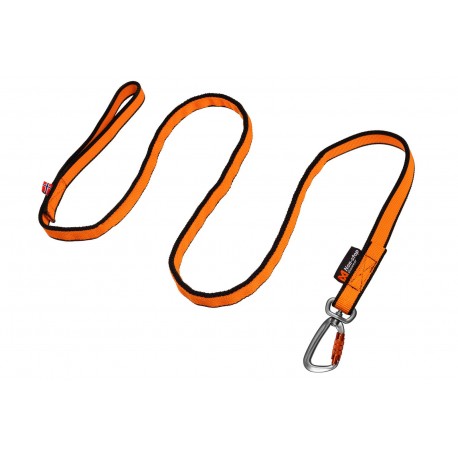 Bungee leash - Correa de Cani cross