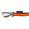 Bungee leash - Correa de Cani cross