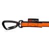 Bungee leash - Correa de Cani cross