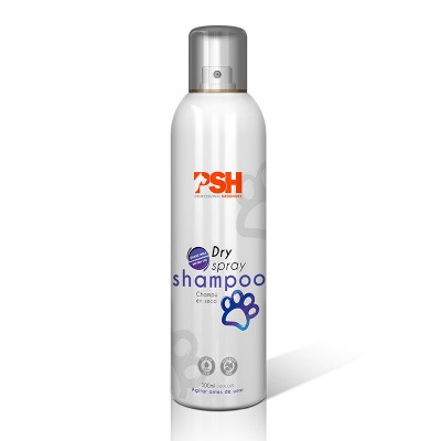 Dry Shampoo - Champú en seco