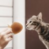 RETORN RUB FISH FOR CATS - Juguete para gato