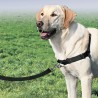 Arnés easy walk - Arnés antitirones para perros