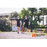 Non-Stop Dogwear Move Leash - Correa segura para perros