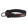 Non-Stop Dogwear Roam Collar - Collar acolchado de uso diario para perros