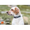 Non-Stop Dogwear Roam Collar - Collar acolchado de uso diario para perros