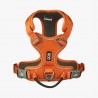 Dog Copenhagen Arnés Comfort Walk Pro V3