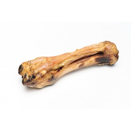 Tibia de vaca