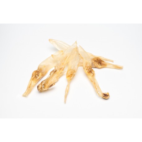 Oreja de conejo sin pelo