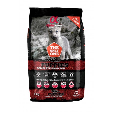 SECO PUPPIES ALPHA SPIRIT