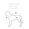 ARNÉS CANI CROSS TALLA 0